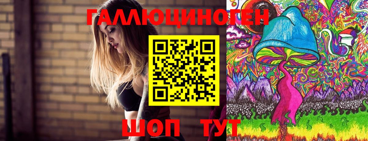 Урюпинск  Галлюциногенные грибы Cubensis  Вход с VPN  Псилоцибиновые грибы GOLDEN TEACHER 
