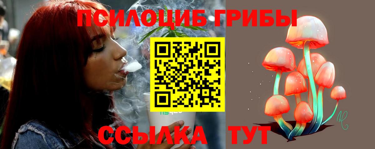 Псилоцибиновые грибы Cubensis Урюпинск